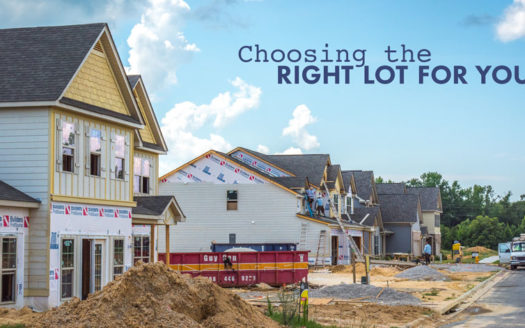 Choosing the Right Lot