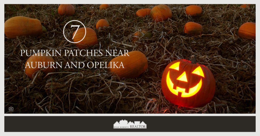 7 Pumpkin Patches Near Auburn and Opelika