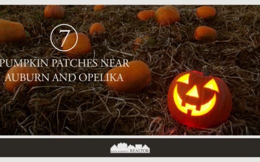 7 Pumpkin Patches Near Auburn and Opelika