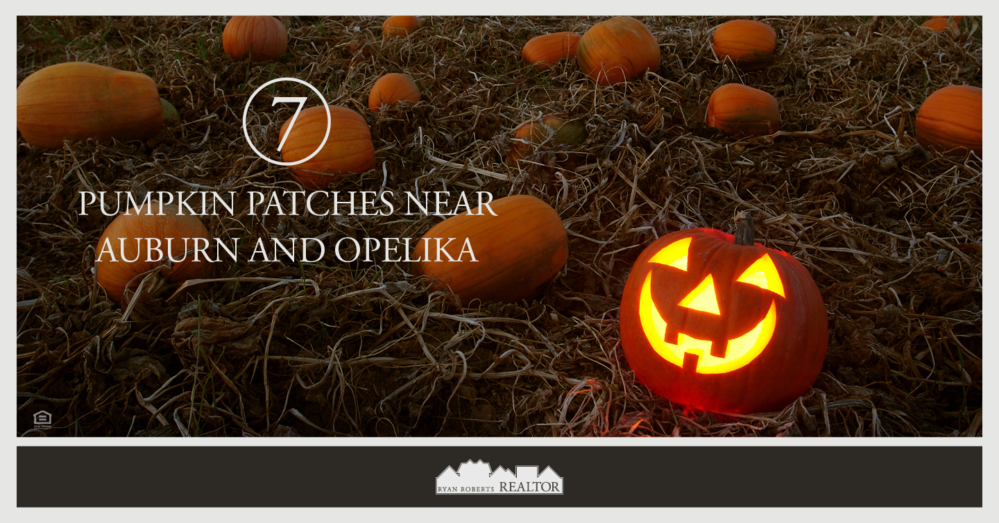 7 Pumpkin Patches Near Auburn and Opelika - Ryan Roberts Realtor