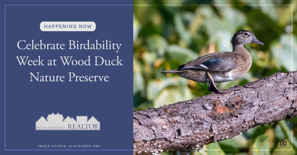 Wood Duck Nature Preserve