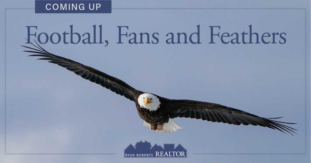 Football Fans and Feathers