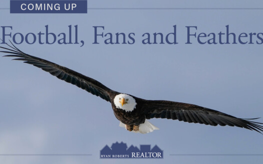 Football Fans and Feathers
